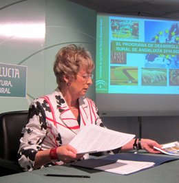 Elena Víboras, en rueda de prensa.