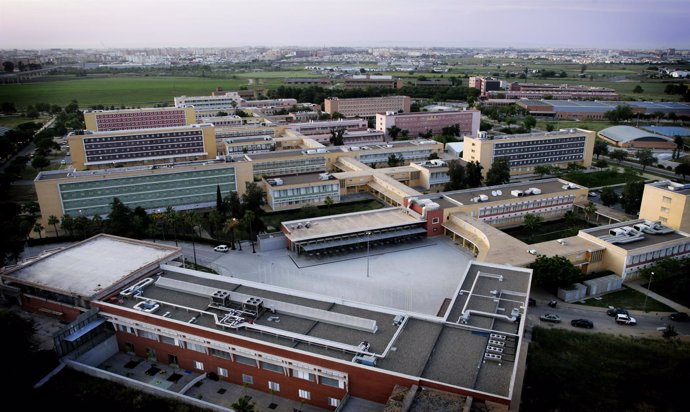 Vista de la Universidad Pablo de Olavide