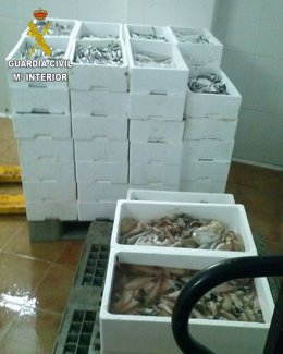 Pescado incautado por los agentes en las lonjas alicantinas