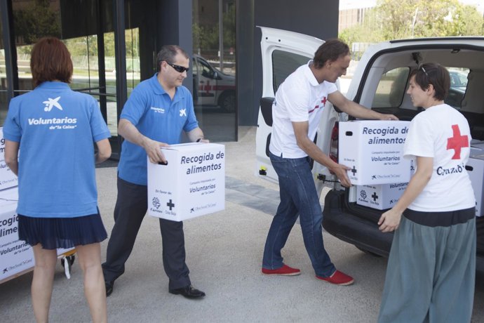 Recogida de alimentos