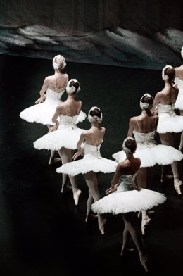 Bailarinas del Ballet de Moscú