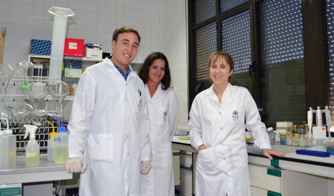 Investigación