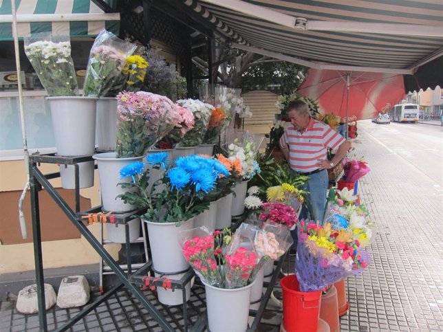 Flores, puesto, flor, comprar, rosas, margarita, Alameda Principal