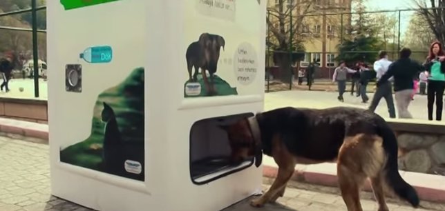 Máquinas para alimentar perros