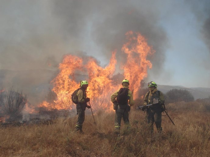 Brigadistas trabajando en las tareas de extinción de un incendio forestal