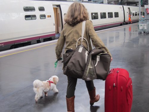Turista con mascota en tren