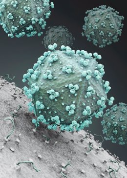 Vírus del sida, VIH