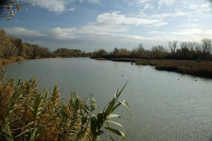 Reserva Natural Dirigida de los Sotos y Galachos del Ebro