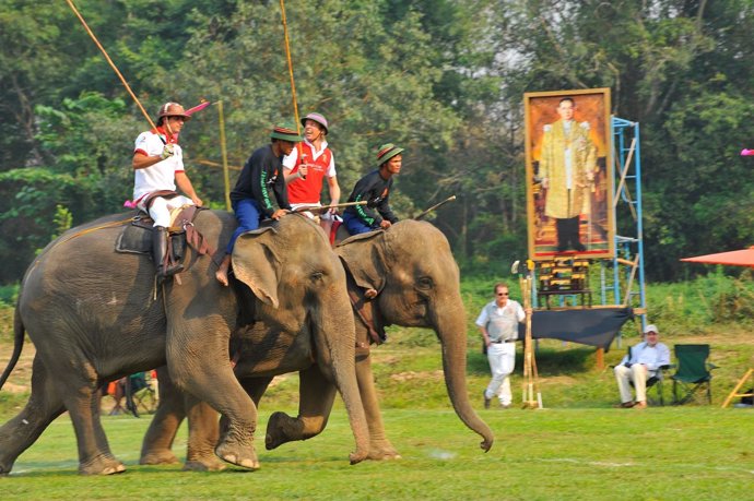 Copa del Rey de Polo en Elefante