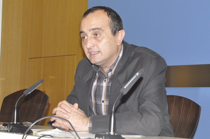 El concejal de IU-Zaragoza Raúl Ariza.