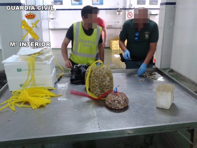 Coquinas intervenidas con toxinas.