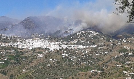 Cooperación y Desarrollo