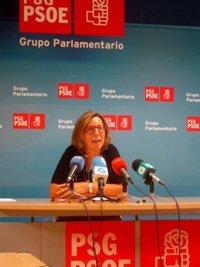 El PSdeG señala al Gobierno que la UE admite las ayudas al dique con "los parámetros sociolaborales" de Ferrolterra