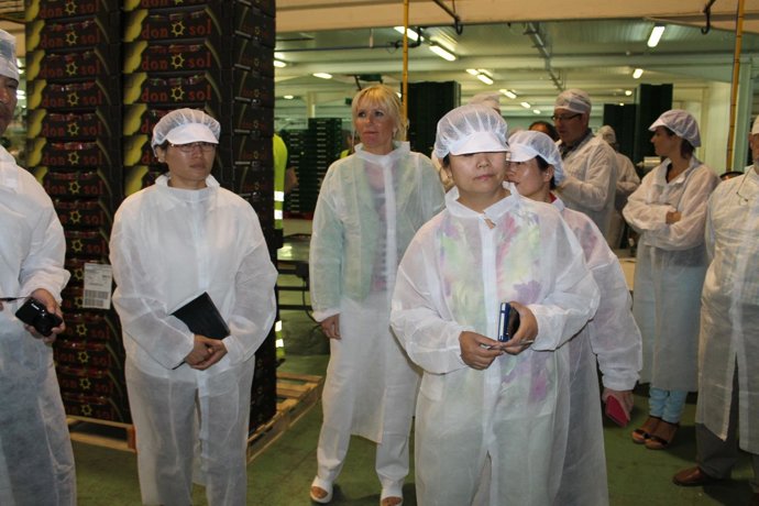 Técnicos del gobierno chino visitan las explotaciones frutícolas de Lleida