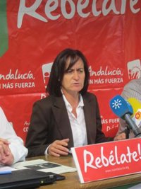 IULV-CA celebra que se "imponga la cordura" y la Junta ejerza el derecho de retracto sobre El Algarrobico