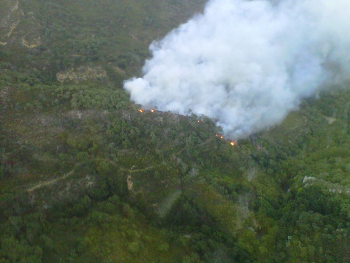 Incendio en el paraje de Arroyo de la Miel de Algeciras