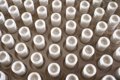 Pasar de forma estable los 21 días de incubación del virus de ébola, clave para superar la enfermedad