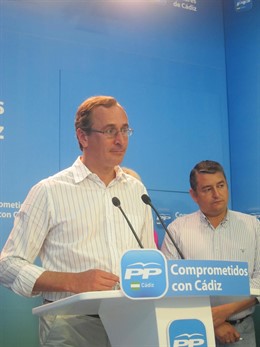 Alfonso Alonso en rueda de prensa