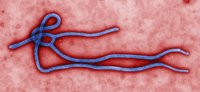 Ebola.- Els religiosos que es queden a Libèria: "Estem esperant la mort"