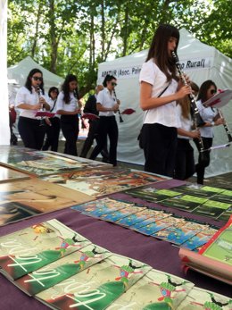 Feria artesanía en Carrión de los Condes 