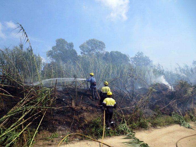 Extinción de un Incendio forestal en Blanes