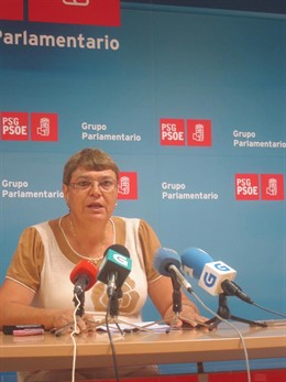 La diputada del PSdeG Marisol Soneira