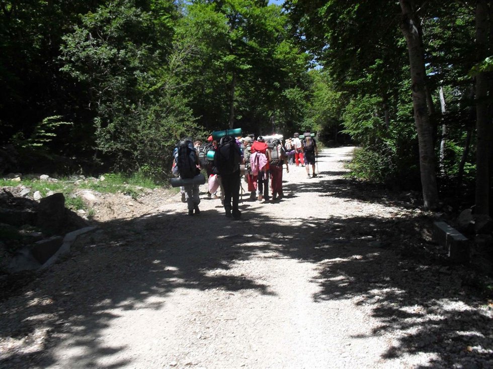 Campamentos