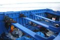 Tres bebés y 16 adultos rescatados en una patera en la isla de Alborán