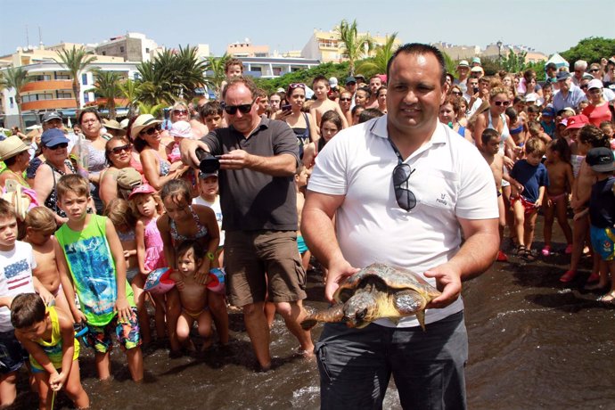 Liberan dos tortugas en Playa San Juan