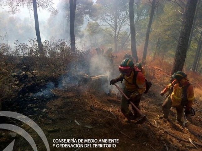 Incendio Forestal Montes Málaga, 10 agosto, Infoca