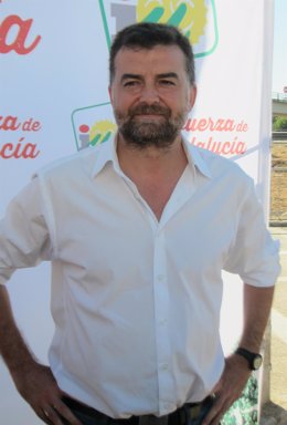 Antonio Maíllo hoy en Sevilla