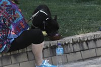 El Noroeste y la Vega del Segura estarán este lunes en alerta amarilla por altas temperaturas