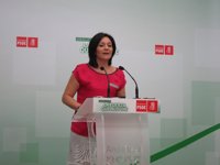 PSOE-A critica que todavía "no se ha escuchado" ni a Rajoy ni Moreno hablar de la subvención de cinco millones a Ojeda