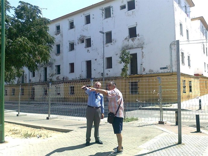 Flores en los Pajaritos