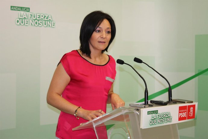 PSOE DE ANDALUCÍA: FOTOGRAFÍAS RAFI CRESPÍN 11.08.14