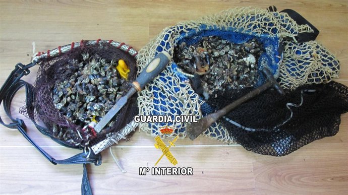 Percebe incautado por la Guardia Civil