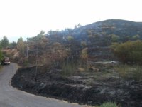 Efectivos aéreos y terrestres trabajan en la extinción de un incendio en Alcoi (Alicante)
