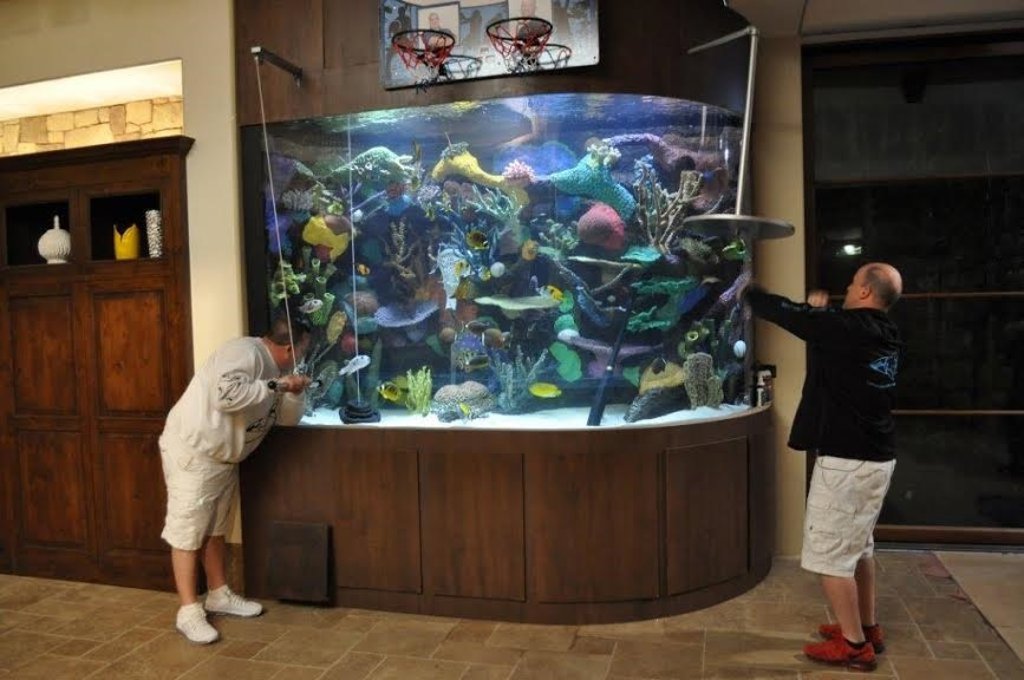 Los acuarios más espectaculares regresan a Discovery MAX