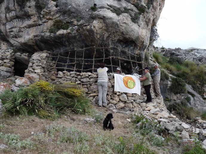 Miembros de la Red de Voluntariado Ambiental de Sierra Mágina recuperan un chozo