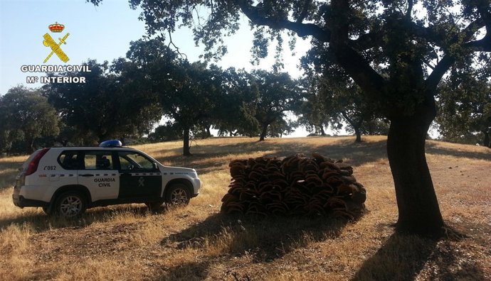 Corcho intervenido en Cerro Muriano