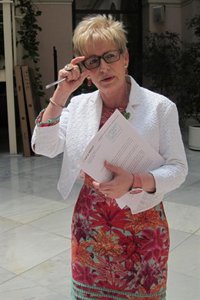 Víboras "en ningún momento" apoyará las acciones del SAT, porque "siempre hay que ser respetuosos con la ley"