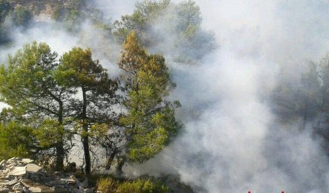 Medio Ambiente