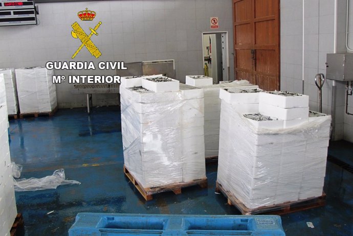Cajas de sardinas incautadas en Burriana
