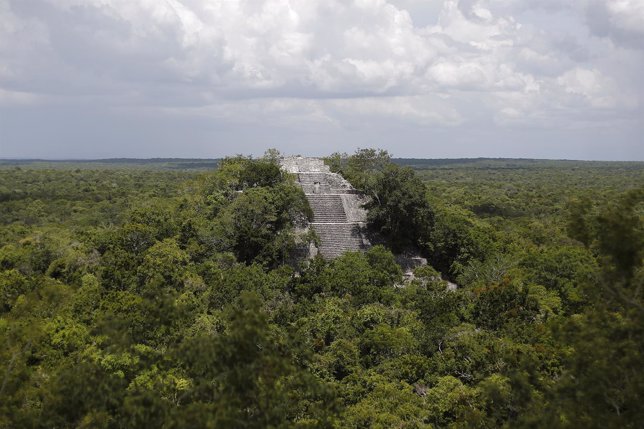 General view of the Calakmul archaeological site from a pyramid at the Calakmul 