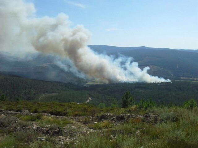 Incendio en Laza sobre las 17 horas del lunes 18 de agosto