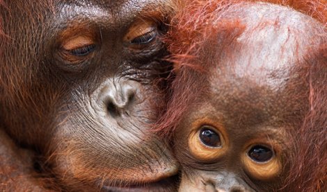 Cooperación y Desarrollo