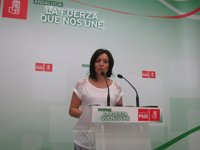El PSOE-A pide a Moreno que trabaje con Díaz para reclamar un pacto nacional "contra la violencia machista"