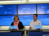 El PP asegura que el PSOE se guía por el "sectarismo" para retrasar la implantación de la FP dual