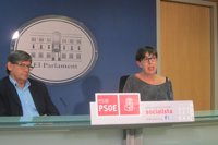 Los socialistas se muestran "escépticos" ante una comisión de investigación sobre Son Espases