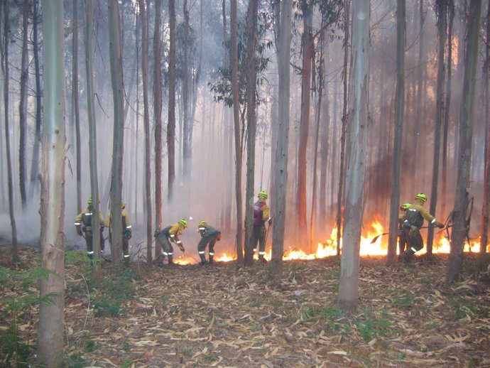 Extinción de un incendio forestal por una BRIF